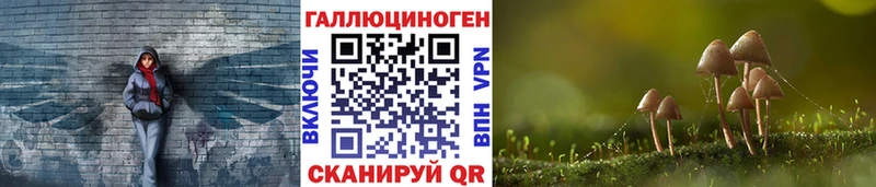 Псилоцибиновые грибы Psilocybine cubensis  omg как зайти  Учалы  что такое  