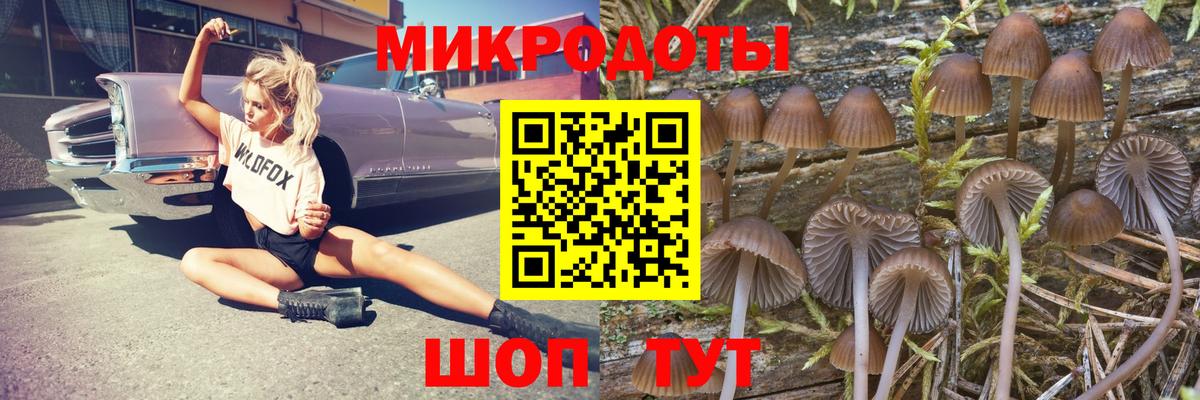 Галлюциногенные грибы Psilocybe  Вход с VPN  Учалы  Псилоцибиновые грибы Psilocybine cubensis 