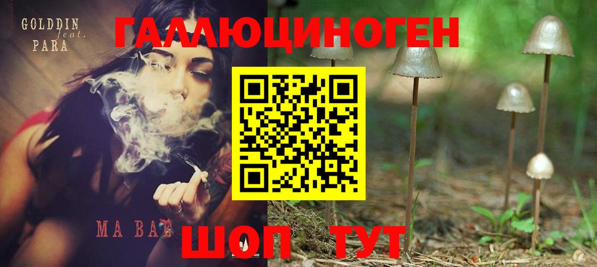 Псилоцибиновые грибы MAGIC MUSHROOMS  Учалы 