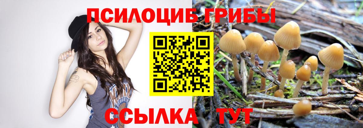 Галлюциногенные грибы Psilocybine cubensis Учалы
