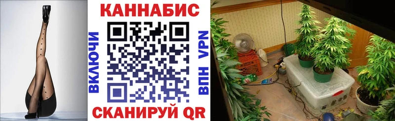 Бошки марихуана OG Kush  магазин  наркотиков  Учалы 